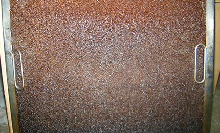 グリスフィルター1ヶ月使用後の表面